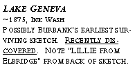 Text Box: Lake Geneva?~1875, Ink Wash?Possibly Burbanks earliest surviving sketch. Recently discovered. Note LILLIE from Elbridge from back of sketch.?