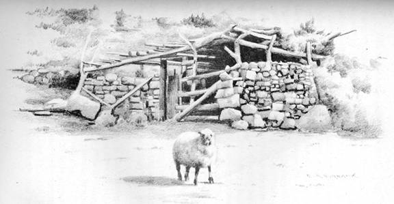 E. A. Burbank Timeline Image - Navajo Sheep Corral